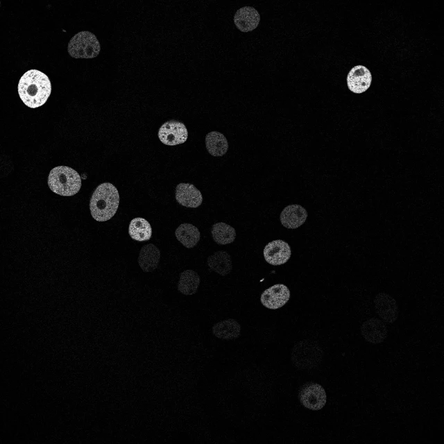 Source microscopy frame with predicted centroid trajectories