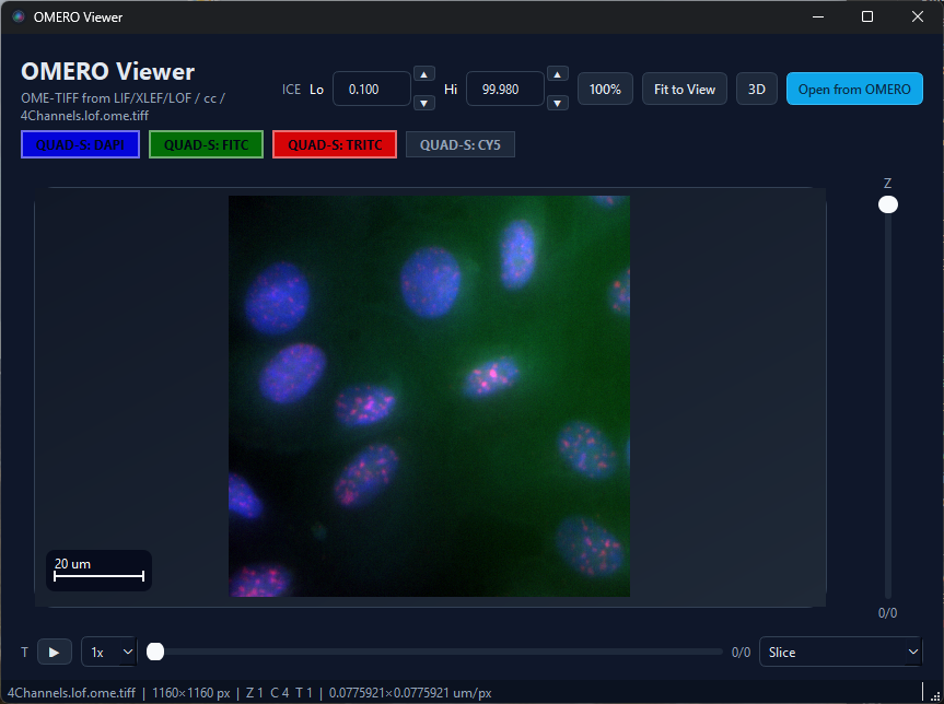 Viewer with image open